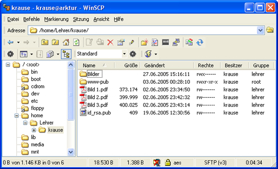 Windows - Ordnerstruktur mit WinSCP